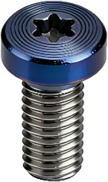 Cosmetic Screw Manufacturer — PVD / CD-Texture Decorative Fasteners