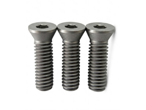 TORX® T25 刀具螺丝 | M6×2