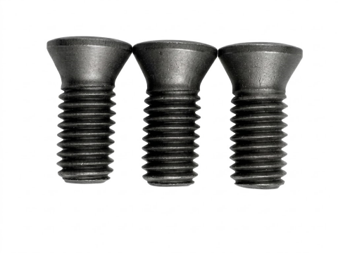 TORX® T20 刀具螺丝 | M5×1