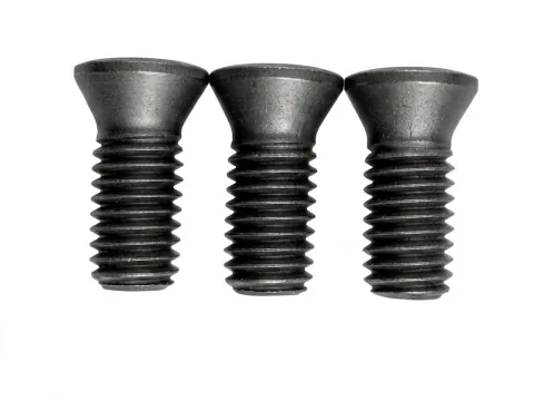 TORX® T20 Tool Screw | M5×12 (0.8 Pitch)
