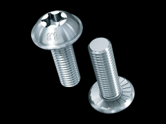 盘形法兰头内梅花(6 lobe)螺丝 带防松齿法