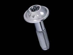 盘头自攻螺丝 带梅花穴