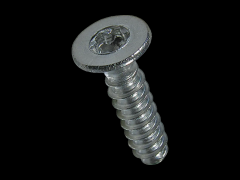 平头自攻螺丝 带梅花穴 Torx Plus®