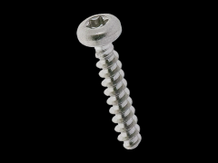 盘头自攻螺丝 带梅花穴 Torx®