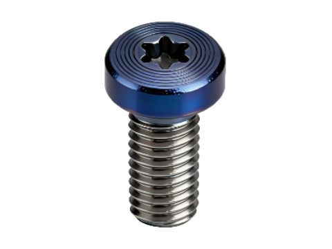 Premium Torx Pan Head Screws with CD Pattern & PVD Finish