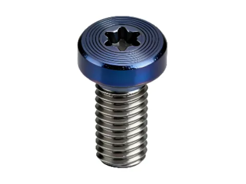 Premium Torx Pan Head Screws with CD Pattern & PVD Finish